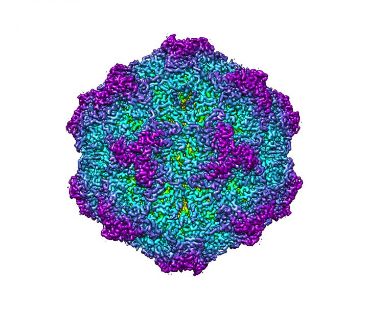Colorful molecular rendering of a roughly spherical particle.