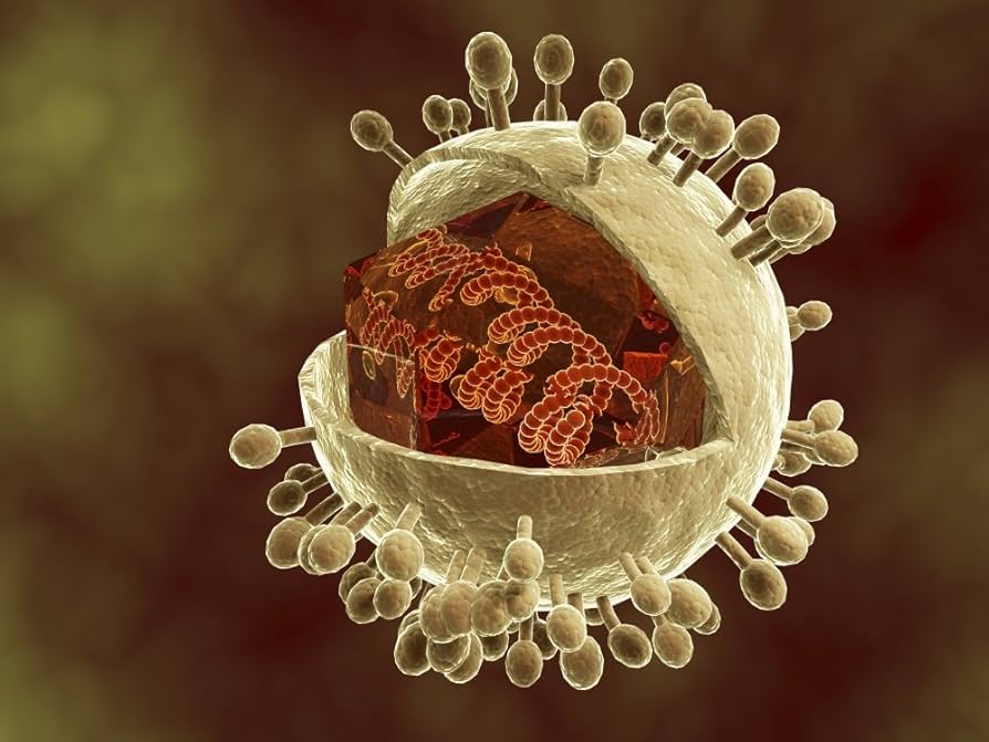 Rendered spherical particle with many rounded surface projections and exposed internal structures.