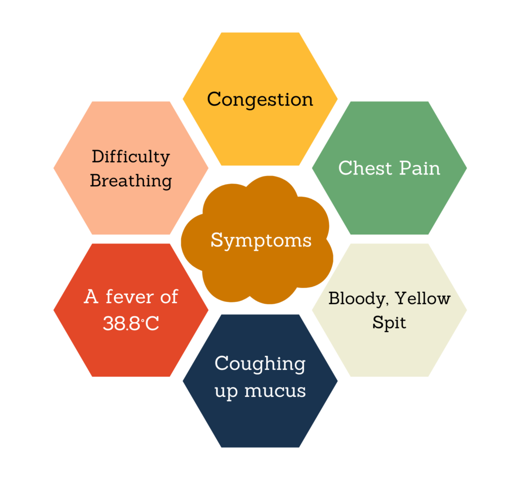 Pneumonia symptom diagram.