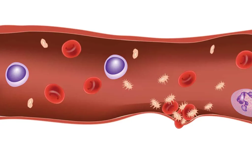Illustration of blood cells and platelets in a blood vessel.