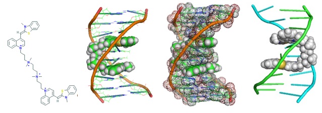 Molecular rendering of a compound with double-stranded DNA.