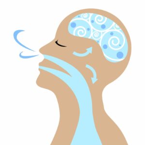 Diagram of a person’s head and airways during breathing.