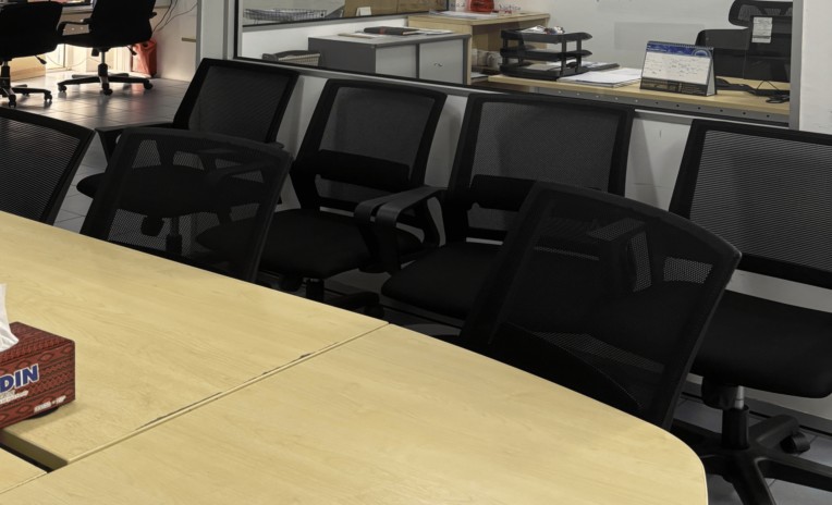 Geneflux meeting room.