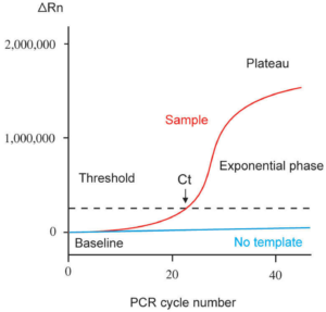 Example PCR amplification plot.