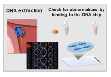 Diagram of DNA extraction and DNA-chip testing.