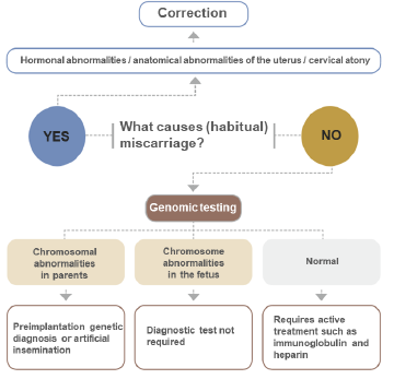 Diagram of embryo retrieval, selection, and transfer.