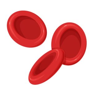 Three red blood cells.