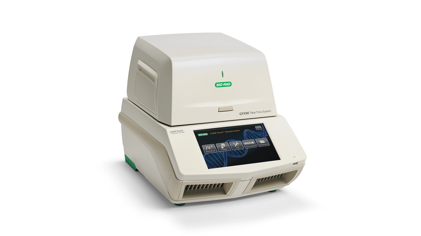 Bio-Rad CFX96 real-time PCR system.