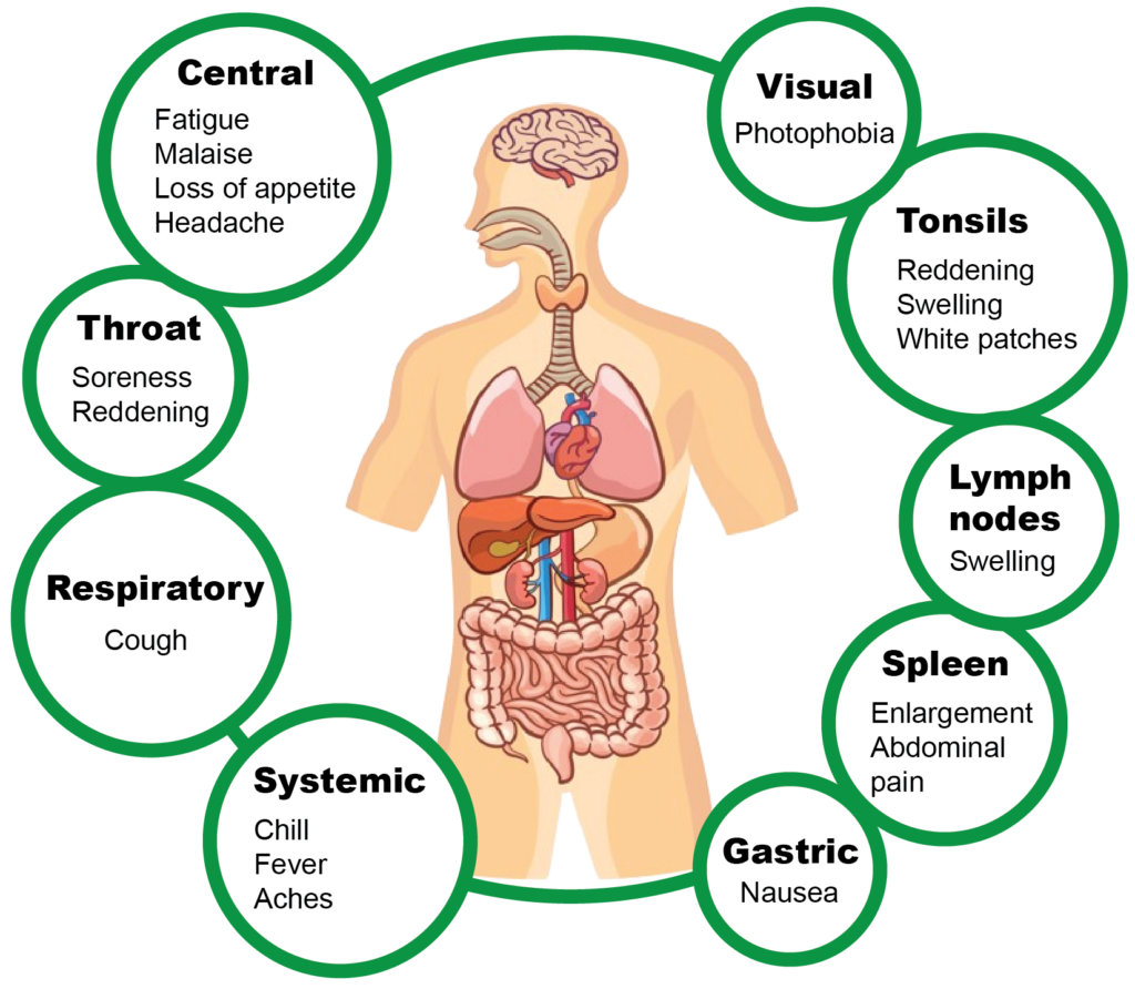 Human-body diagram that shows symptom areas.