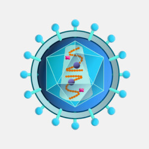 Illustration of a spherical particle with surface projections, an inner polygon, and an orange strand.